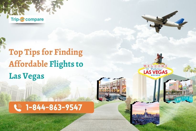 Top Tips for Finding Affordable Flights to Las Vegas