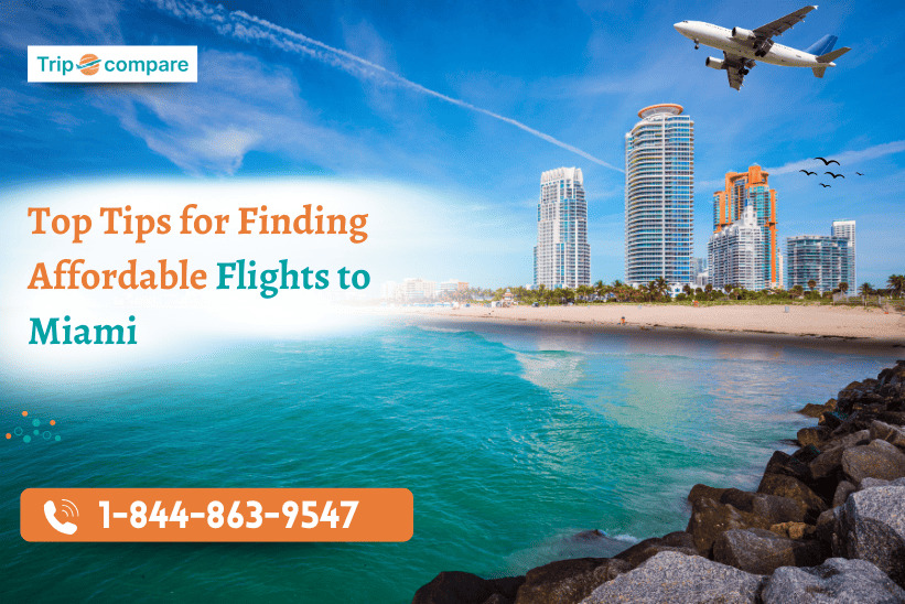 Top Tips for Finding Affordable Flights to Miami