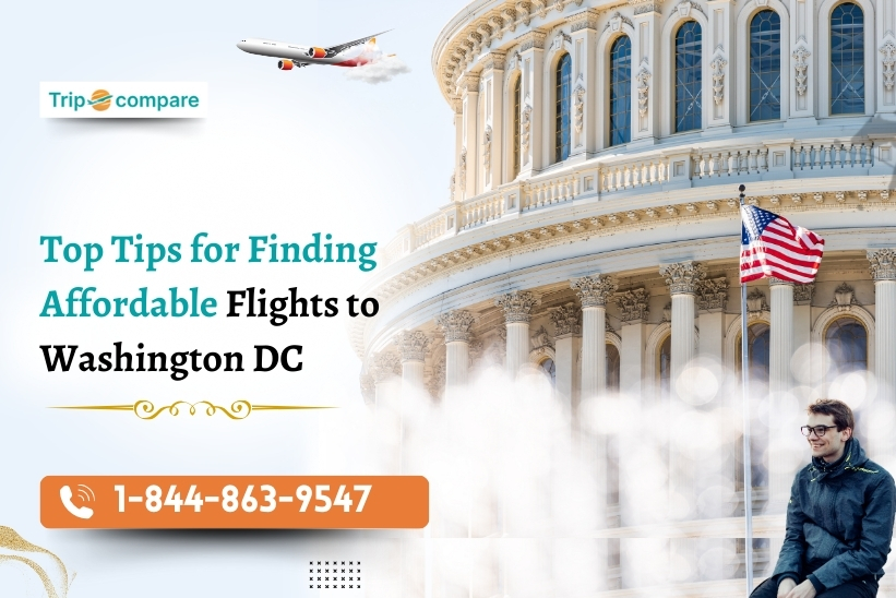 Top Tips for Finding Affordable Flights to Washington DC